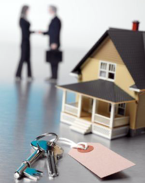 The Real Estate Mall Who We Are
